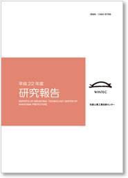 平成22年度 研究報告 表紙イメージ