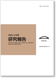 平成24年度 研究報告 表紙イメージ